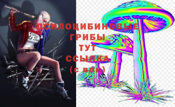 ПСИЛОЦИБИНОВЫЕ ГРИБЫ Абдулино