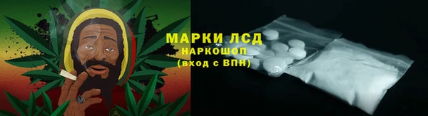 ПСИЛОЦИБИНОВЫЕ ГРИБЫ Абдулино