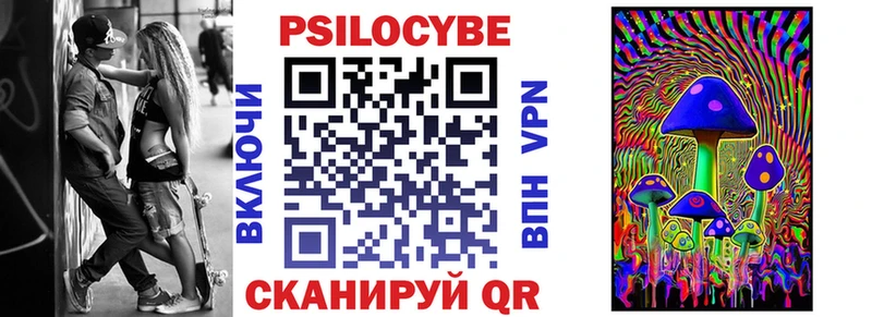 купить цена Электросталь Псилоцибиновые грибы Psilocybine cubensis